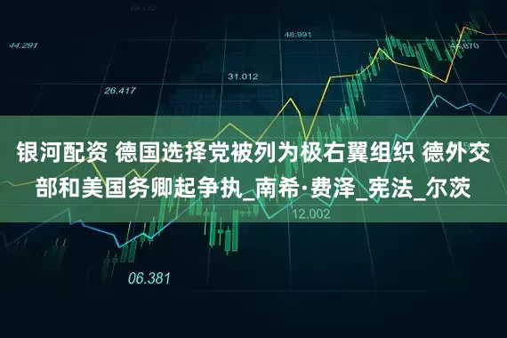 银河配资 德国选择党被列为极右翼组织 德外交部和美国务卿起争执_南希·费泽_宪法_尔茨