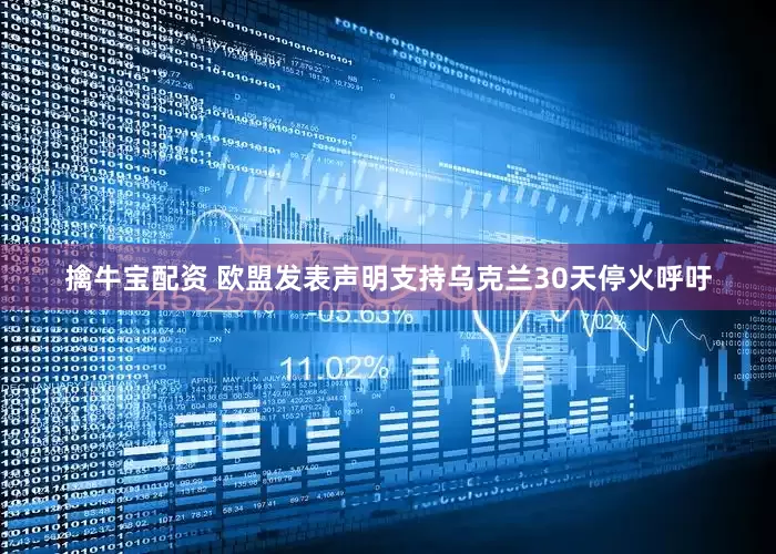 擒牛宝配资 欧盟发表声明支持乌克兰30天停火呼吁