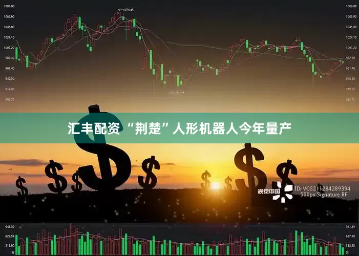 汇丰配资 “荆楚”人形机器人今年量产