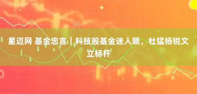 星迈网 基金忠言｜科技股基金迷人眼，杜猛杨锐文立标杆